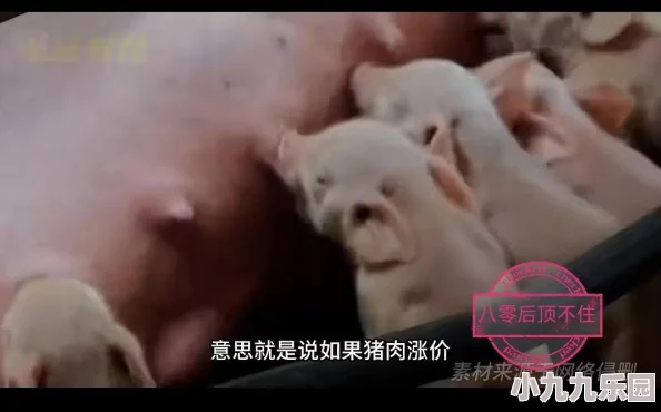 《黑神话：悟空》猪八戒BOSS战打法技巧与图文攻略详解指南